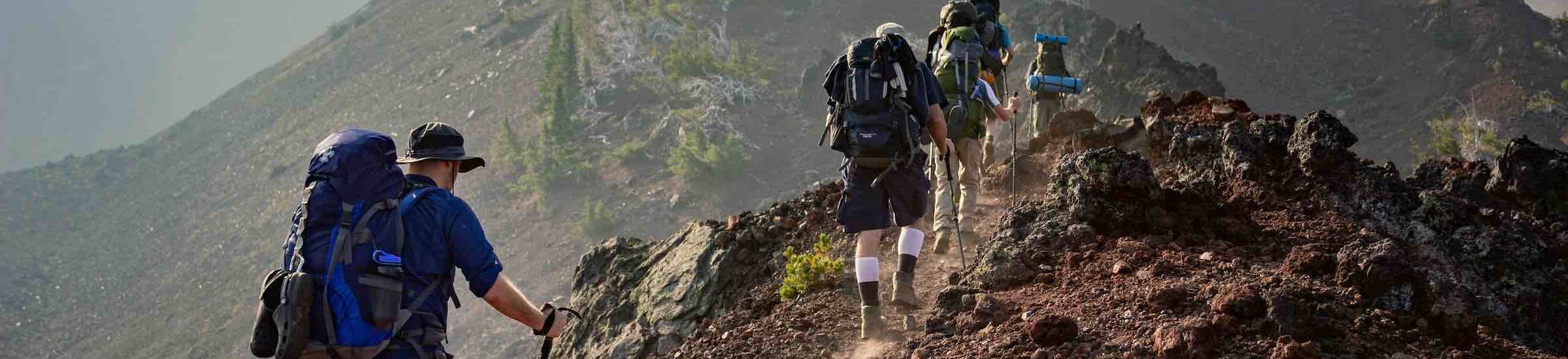 pexels-sanmane-1365425